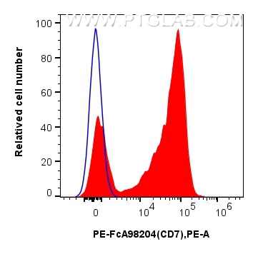 CD7