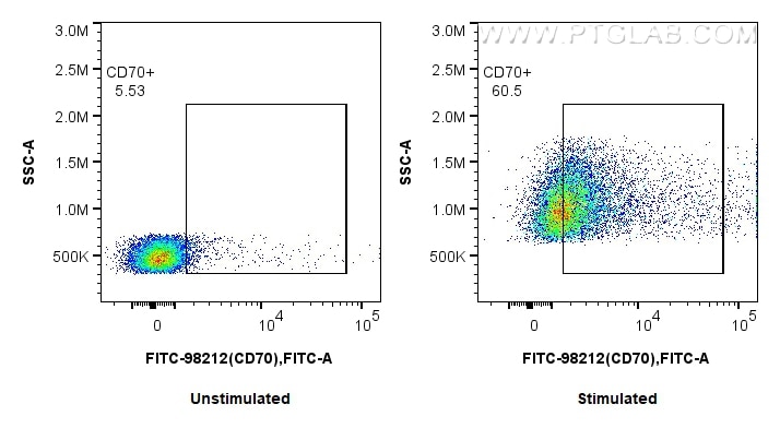 Flow cytometry (FC) experiment of mouse splenocytes using FITC Plus Anti-Mouse CD70 Rabbit Recombinant Antib (FITC-98212)