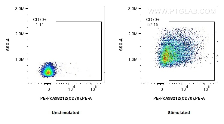 Flow cytometry (FC) experiment of mouse splenocytes using FcZero-rAb™ PE Anti-Mouse CD70 Rabbit Recombinant  (PE-FcA98212)