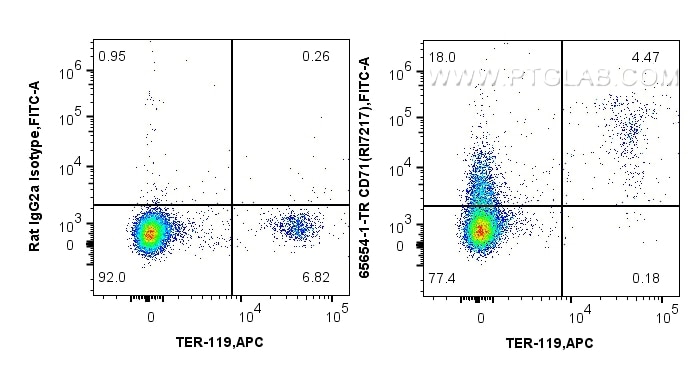 Flow cytometry (FC) experiment of mouse bone marrow cells using Anti-Mouse CD71 (RI7217) Rat IgG2a Recombinant Ant (65654-1-TR)