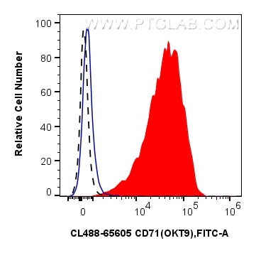 1x10^6 PHA treated human PBMCs were surface stained with 5 ul CoraLite® Plus 488 Anti-Human CD71 (OKT9) Mouse IgG2a RecAb (CL488-65605, Clone: OKT9) (red) or CoraLite® Plus 488 Mouse IgG2a Isotype Control (C1.18.4) (CL488-65208, Clone: C1.18.4) (blue). 1x10^6 untreated human PBMCs were surface stained with 5 ul CoraLite® Plus 488 Anti-Human CD71 (OKT9) Mouse IgG2a RecAb (CL488-65605, Clone: OKT9) (black, dashed). Cells were not fixed. Flow cytometry (FC) experiment of human PBMCs using CoraLite® Plus 488 Anti-Human CD71 (OKT9) Mouse Ig (CL488-65605)