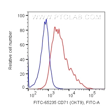 Flow cytometry (FC) experiment of Human PBMC using FITC Plus Anti-Human CD71 (OKT9) (FITC-65235)