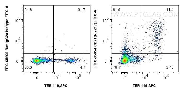 FC experiment of mouse bone marrow cells using FITC-65654 Flow cytometry (FC) experiment of mouse bone marrow cells using FITC Plus Anti-Mouse CD71 (RI7217) Rat Recombinant (FITC-65654)