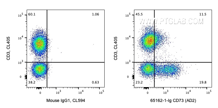 FC experiment of human PBMCs using 65162-1-Ig