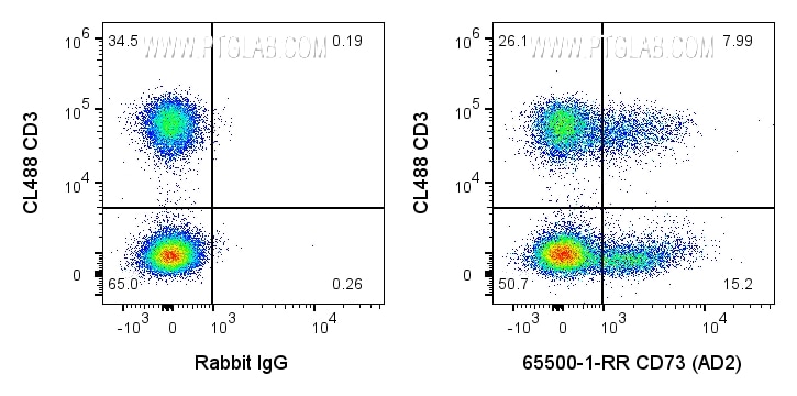 Flow cytometry (FC) experiment of human PBMCs using Anti-Human CD73 ( AD2 ) Rabbit Recombinant Antibod (65500-1-RR)