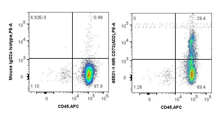 Flow cytometry (FC) experiment of human PBMCs using Anti-Human CD73 (AD2) Mouse IgG1 Recombinant Antib (65531-1-MR)