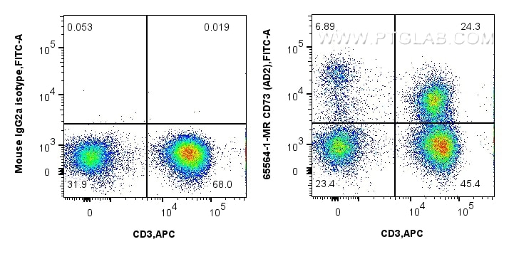 Flow cytometry (FC) experiment of human PBMCs using Anti-Human CD73 (AD2) Mouse IgG2a Recombinant Anti (65564-1-MR)