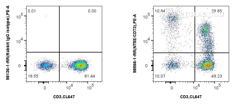 Flow cytometry (FC) experiment of human PBMCs using Anti-Human CD73 Rabbit Recombinant Antibody (98566-1-RR)