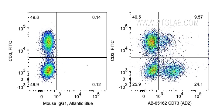 Flow cytometry (FC) experiment of human PBMCs using Atlantic Blue™ Anti-Human CD73 (AD2) (AB-65162)