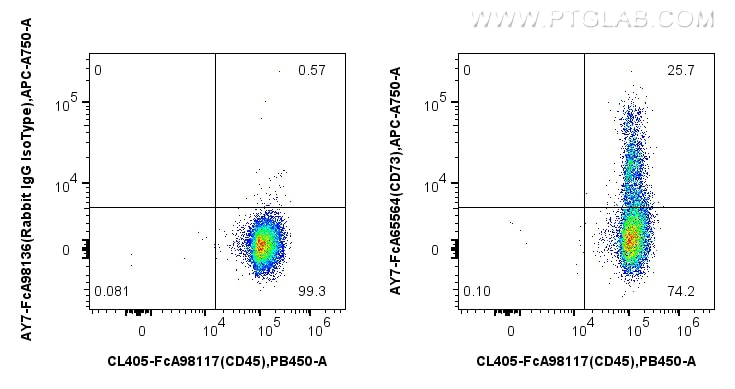Flow cytometry (FC) experiment of human PBMCs using FcZero-rAb™ APC-Cyanine7 Anti-Human CD73 (AD2) Rab (AY7-FcA65564)