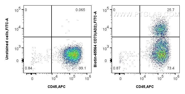 Flow cytometry (FC) experiment of human PBMCs using Biotin Anti-Human CD73 (AD2) Mouse IgG2a Recombina (Biotin-65564)