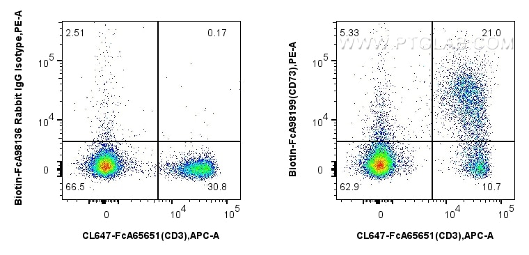Flow cytometry (FC) experiment of mouse splenocytes using FcZero-rAb® Biotin Anti-Mouse CD73 Rabbit Recombin (Biotin-FcA98199)