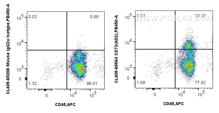 Flow cytometry (FC) experiment of human PBMCs using CoraLite® Plus 405 Anti-Human CD73 (AD2) Mouse IgG (CL405-65564)