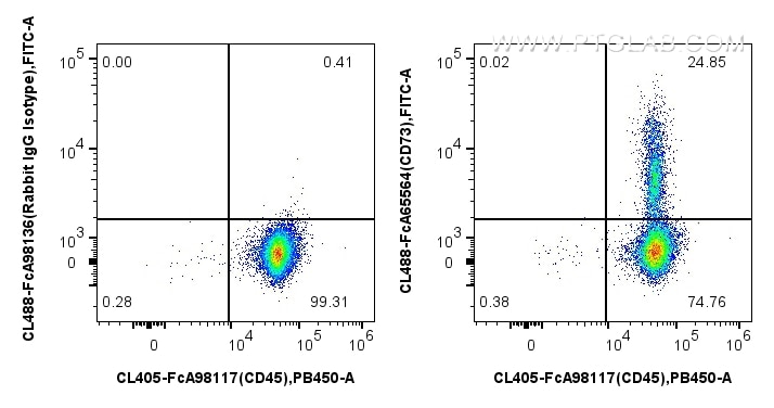 FC experiment of human PBMCs using CL488-FcA65564 Flow cytometry (FC) experiment of human PBMCs using FcZero-rAb® CoraLite® Plus 488 Anti-Human CD73 (AD (CL488-FcA65564)