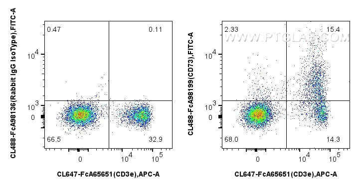 FC experiment of mouse splenocytes using CL488-FcA98199 Flow cytometry (FC) experiment of mouse splenocytes using FcZero-rAb® CoraLite® Plus 488 Anti-Mouse CD73 Rab (CL488-FcA98199)