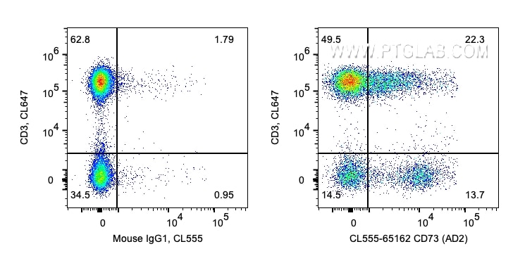 Flow cytometry (FC) experiment of human PBMCs using CoraLite® Plus 555 Anti-Human CD73 (AD2) (CL555-65162)