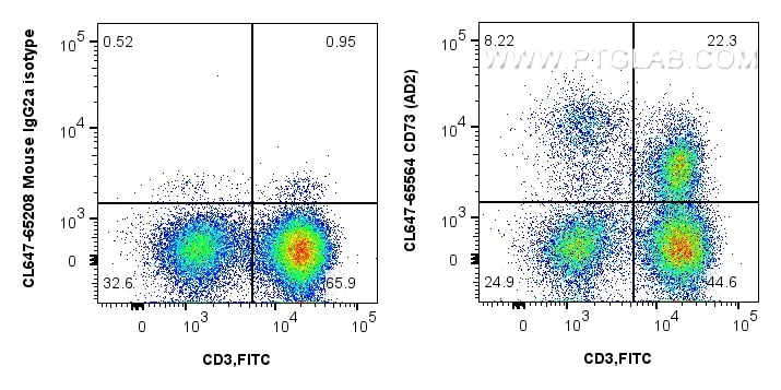 CD73