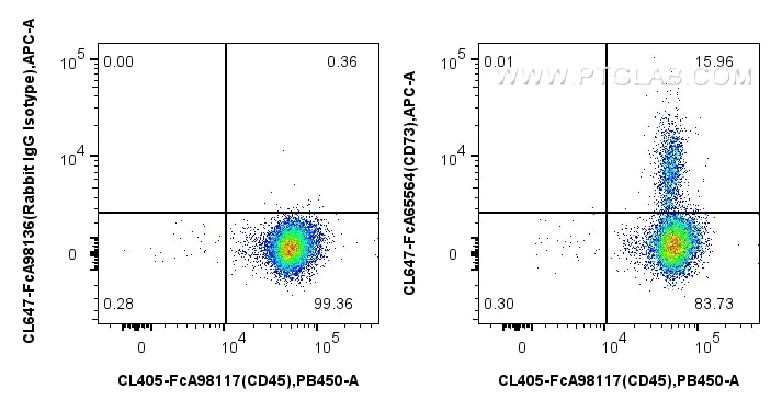 FC experiment of human PBMCs using CL647-FcA65564 Flow cytometry (FC) experiment of human PBMCs using FcZero-rAb® CoraLite® Plus 647 Anti-Human CD73 (AD (CL647-FcA65564)