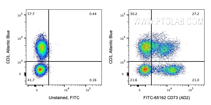 Flow cytometry (FC) experiment of human blood using FITC Plus Anti-Human CD73 (AD2) (FITC-65162)
