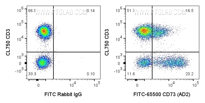Flow cytometry (FC) experiment of human PBMCs using FITC Plus Anti-Human CD73  (AD2) Rabbit Recombinan (FITC-65500)
