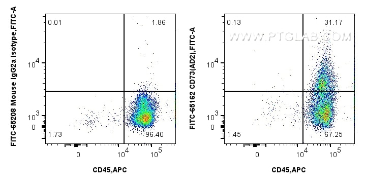 Flow cytometry (FC) experiment of human PBMCs using FITC Plus Anti-Human CD73 (AD2) Mouse IgG2a Recomb (FITC-65564)