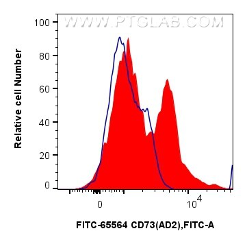 Flow cytometry (FC) experiment of human PBMCs using FITC Plus Anti-Human CD73 (AD2) Mouse IgG2a Recomb (FITC-65564)