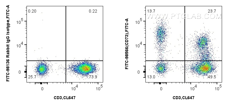Flow cytometry (FC) experiment of human PBMCs using FITC Plus Anti-Human CD73 Rabbit Recombinant Antib (FITC-98566)