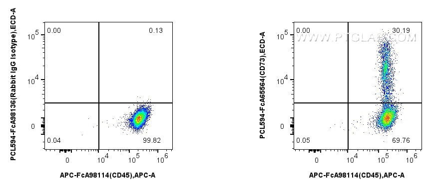 FC experiment of human PBMCs using PCL594-FcA65564 Flow cytometry (FC) experiment of human PBMCs using FcZero-rAb® PE-CoraLite® Plus 594 Anti-Human CD73 (PCL594-FcA65564)