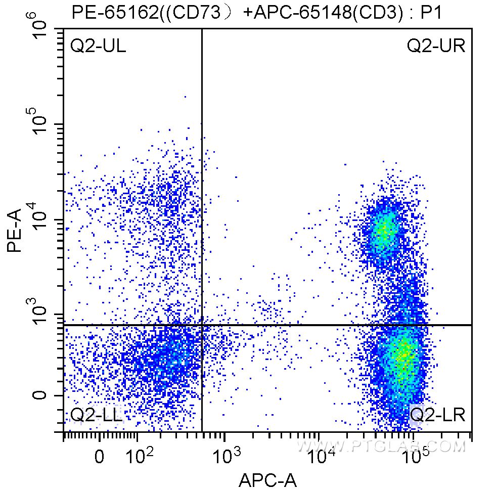 Flow cytometry (FC) experiment of human peripheral blood lymphocytes using PE Anti-Human CD73 (AD2) (PE-65162)