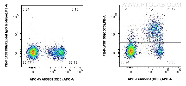 Flow cytometry (FC) experiment of mouse splenocytes using FcZero-rAb™ PE Anti-Mouse CD73 Rabbit Recombinant  (PE-FcA98199)