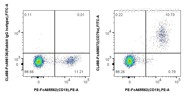 FC experiment of human PBMCs using CL488-FcA98072 Flow cytometry (FC) experiment of human PBMCs using FcZero-rAb® CoraLite® Plus 488 Anti-Human CD79a Ra (CL488-FcA98072)