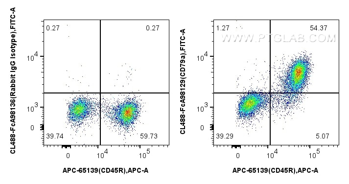 Flow cytometry (FC) experiment of mouse splenocytes using FcZero-rAb® CoraLite® Plus 488 Anti-Mouse CD79a Ra (CL488-FcA98129)