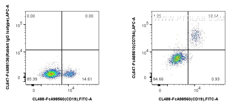 Flow cytometry (FC) experiment of human PBMCs using FcZero-rAb® CoraLite® Plus 647 Anti-Human CD79a (H (CL647-FcA65610)