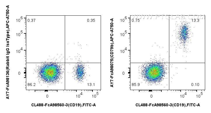 Flow cytometry (FC) experiment of human PBMCs using FcZero-rAb® APC-Cyanine7 Anti-Human CD79b Rabbit R (AY7-FcA98075)