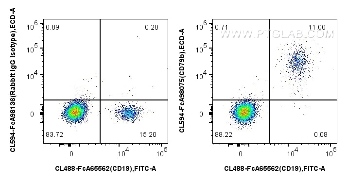 Flow cytometry (FC) experiment of human PBMCs using FcZero-rAb® CoraLite® Plus 594 Anti-Human CD79b Ra (CL594-FcA98075)