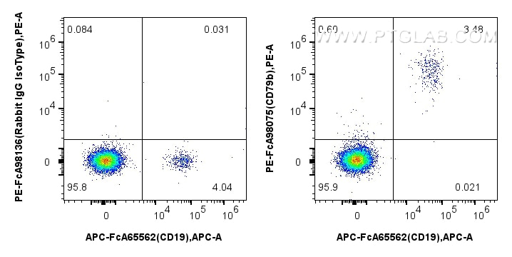 Flow cytometry (FC) experiment of human PBMCs using FcZero-rAb™ PE Anti-Human CD79b Rabbit Recombinant (PE-FcA98075)