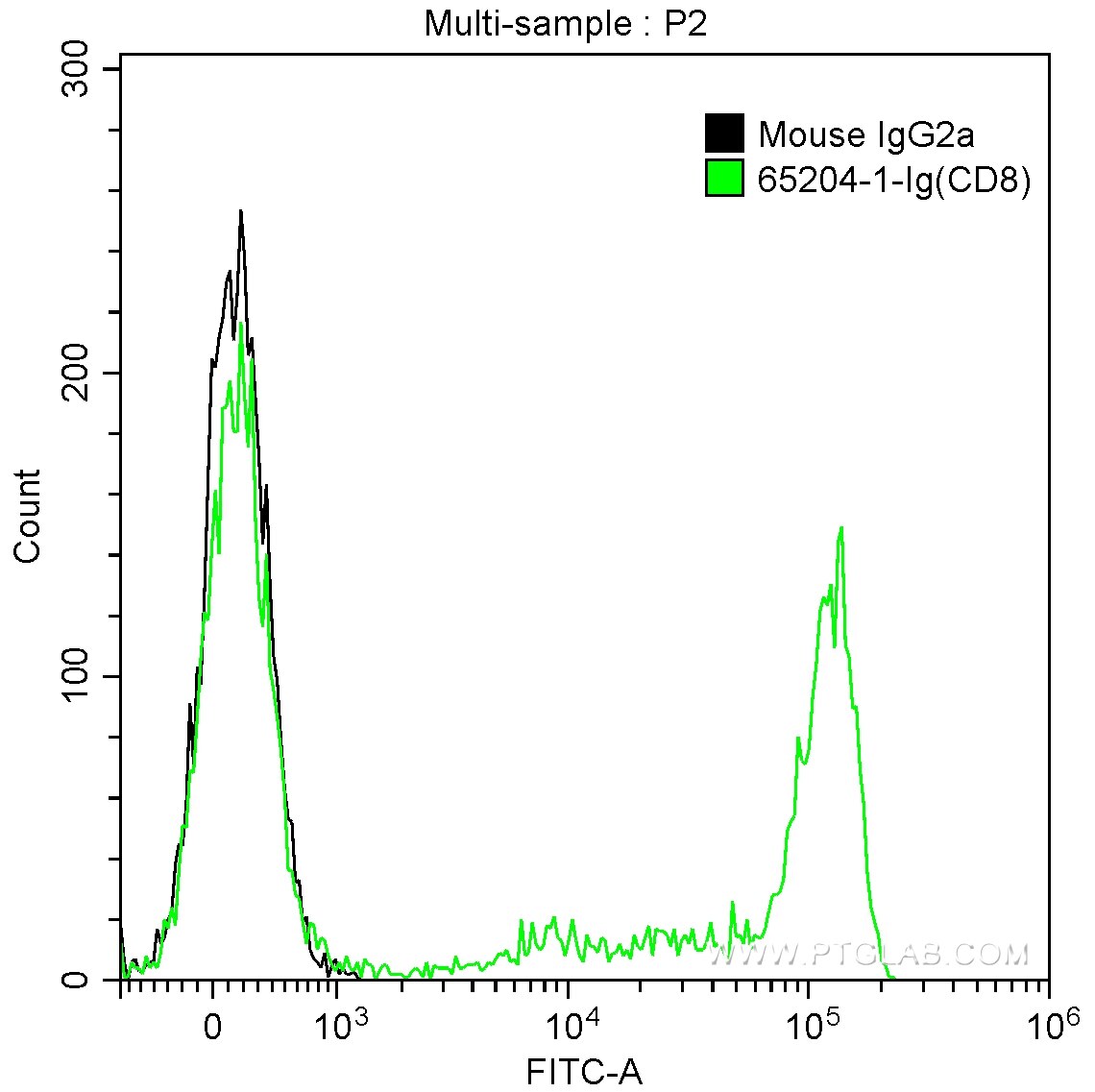 CD8