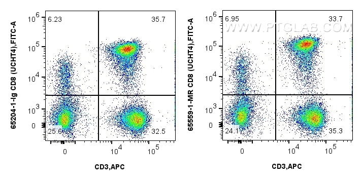 CD8