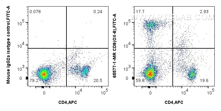 Flow cytometry (FC) experiment of rat splenocytes cells using Anti-Rat CD8a (OX-8) Mouse IgG2a Recombinant Antib (65577-1-MR)