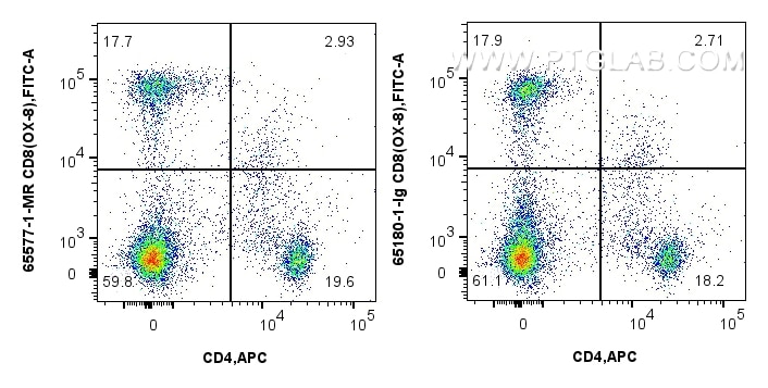 Flow cytometry (FC) experiment of rat splenocytes cells using Anti-Rat CD8a (OX-8) Mouse IgG2a Recombinant Antib (65577-1-MR)