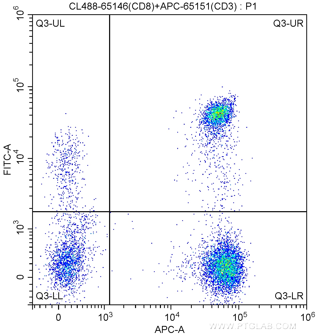 CD8