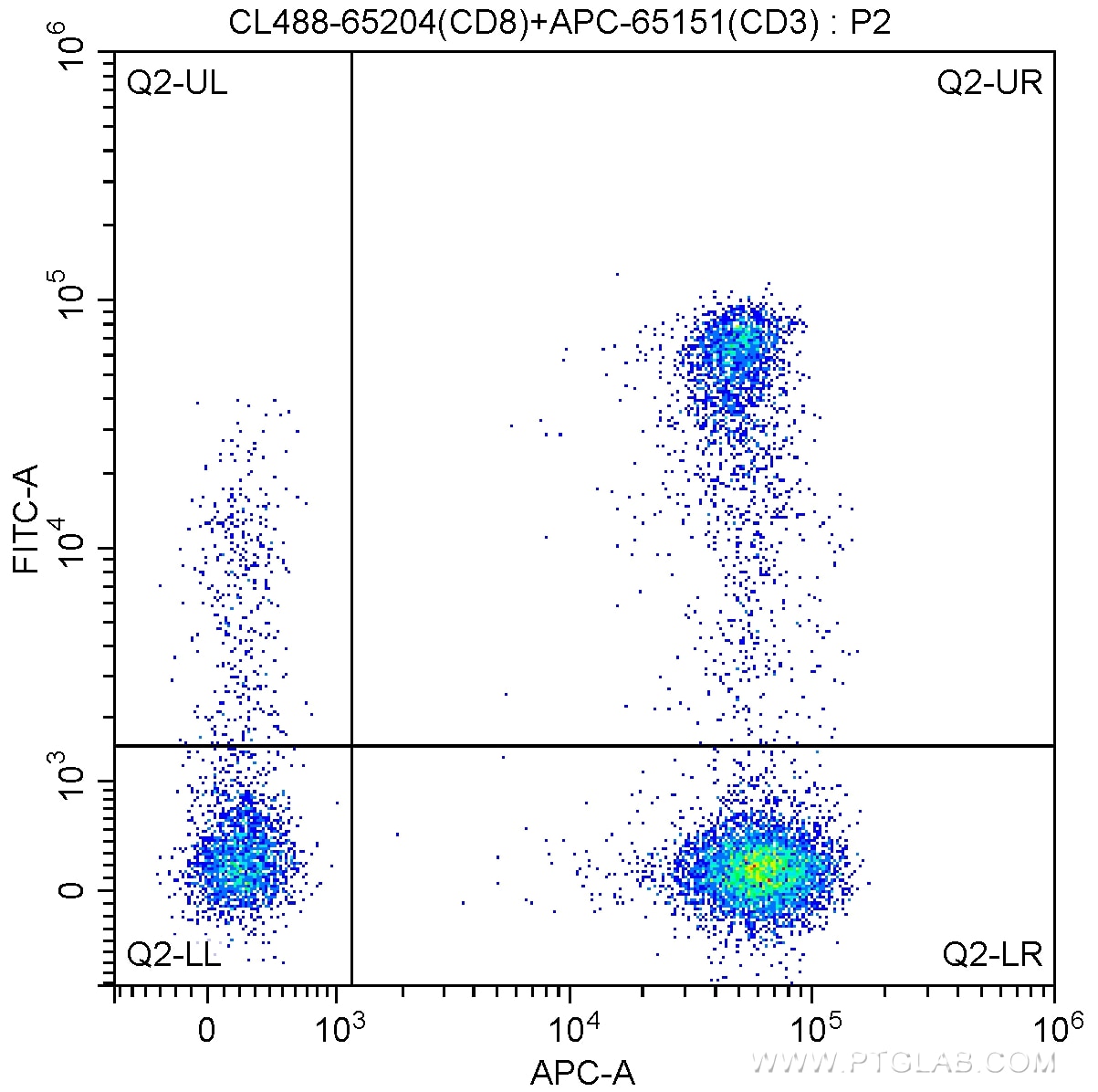 FC experiment of human peripheral blood lymphocytes using CL488-65204