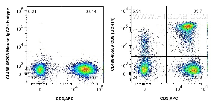 CD8