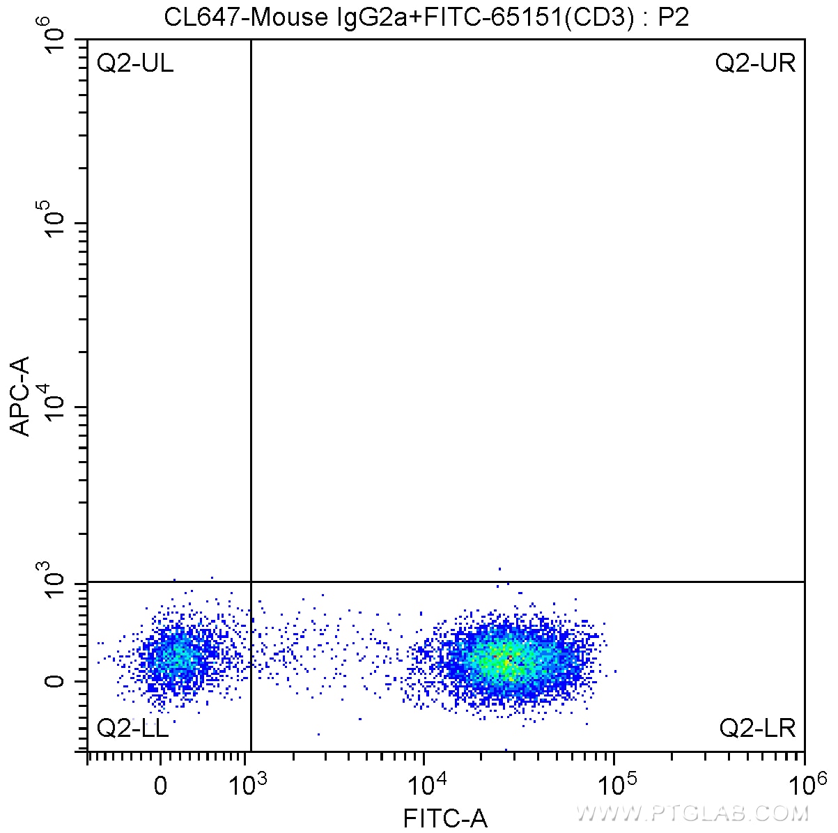 CD8