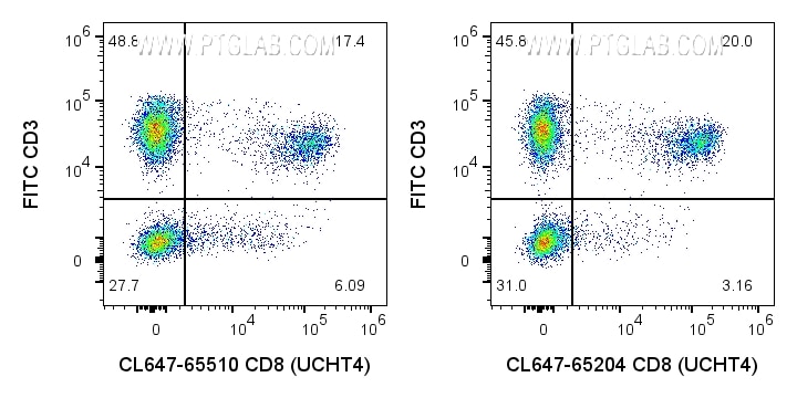 CD8