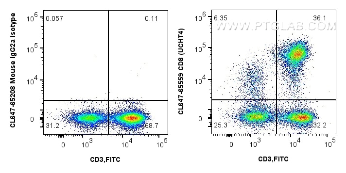 CD8