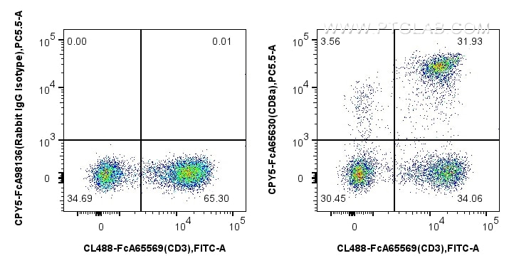 Flow cytometry (FC) experiment of human PBMCs using FcZero-rAb™ PerCP-Cyanine5.5 Anti-Human CD8 (SK1)  (CPY5-FcA65630)