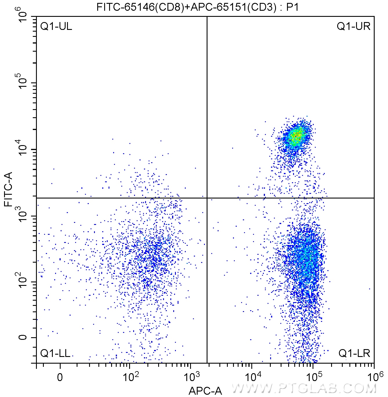 Flow cytometry (FC) experiment of human peripheral blood lymphocytes using FITC Anti-Human CD8 (SK1) (FITC-65146)