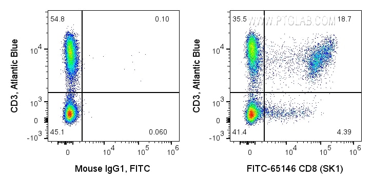 Flow cytometry (FC) experiment of human PBMCs using FITC Plus Anti-Human CD8 (SK1) (FITC-65146)
