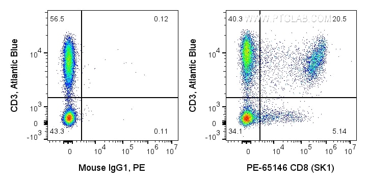 Flow cytometry (FC) experiment of human PBMCs using PE Anti-Human CD8 (SK1) (PE-65146)